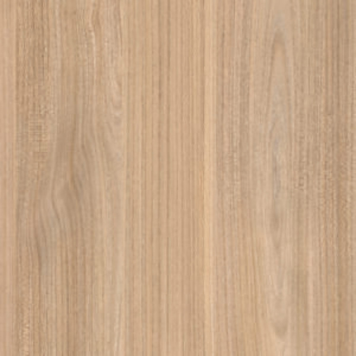 Geolied Eiken - Afbeelding 4
